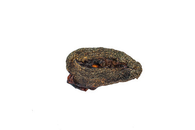 完全干燥的猫胎盘，护身符在泰国，孤立