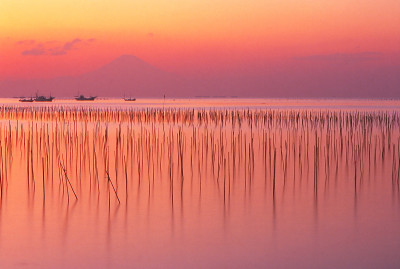 相模湾之夜