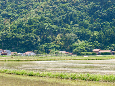 稻田/冲电气岛,岛