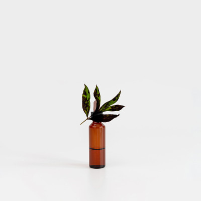 天然化妆品瓶