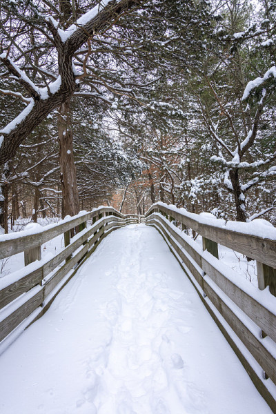 在一个寒冷的冬天早晨，积雪覆盖着小道。