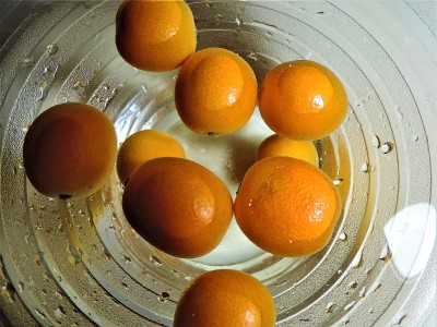 Kinkan。金橘。日本栽培的小柑橘
