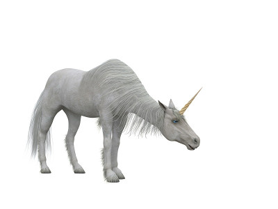 白色独角兽低头问候。童话生物3d插图孤立在白色的背景。