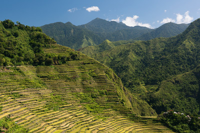 Batad Rice Terraces，巴拿威，菲律宾。