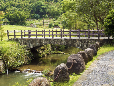 绿色公园风景