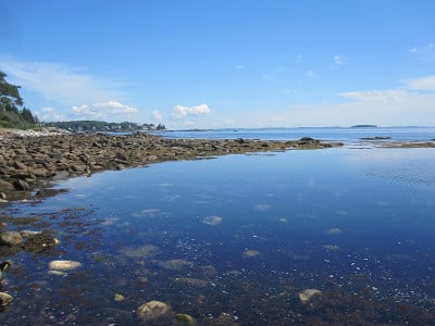 岩石海岸