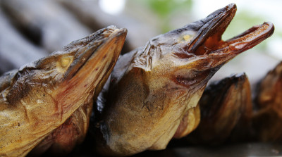 烟熏鳗鱼