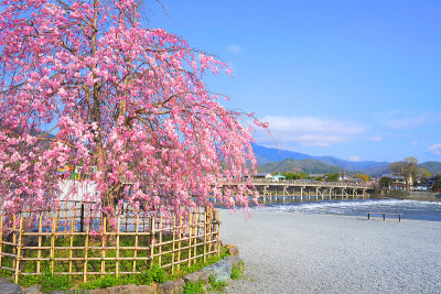 日本京都府岚山市渡月桥