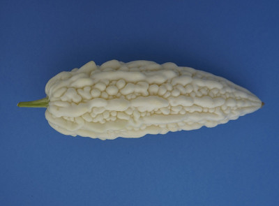 苦瓜菜