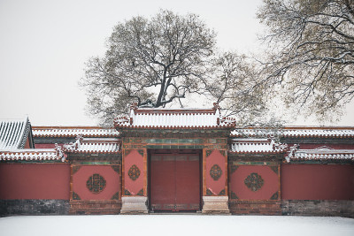 冬天北京紫禁城院门上的雪