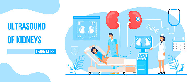 Ultrasound of kidneys concept vector. Pyelonephrit