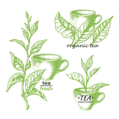 绿茶。天然草本饮料。集