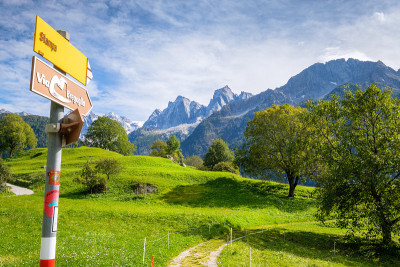 黄色和棕色在索里奥附近散步唱歌(Graubünden，瑞士)