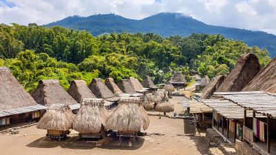 Bajawa -一个传统的Bena村庄