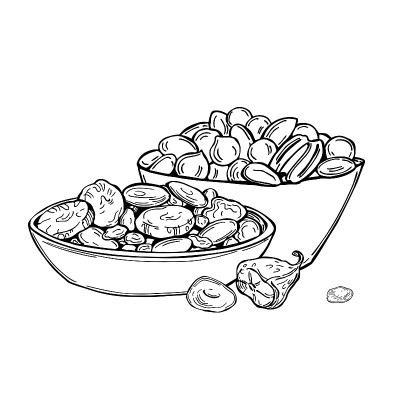 干果和坚果。矢量插图。