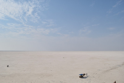 天然盐沙漠，白Rann