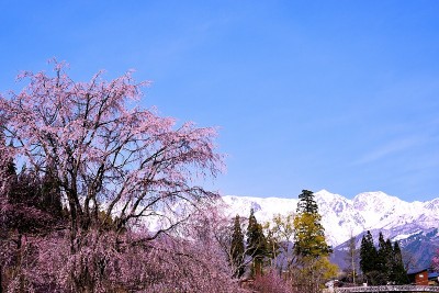 Hakuba