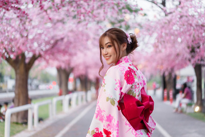 穿着和服的女人看起来像花园里盛开的樱花或樱花
