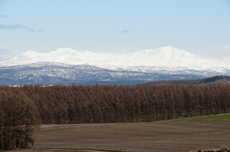 春天的田野和雪山