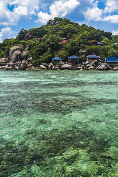 Koh道岛