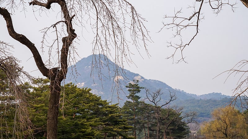 韩国景福宫