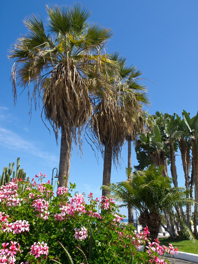 teneriffe岛