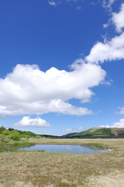 山野县