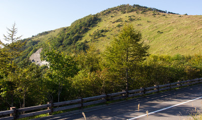 山路。黄绿色的草地