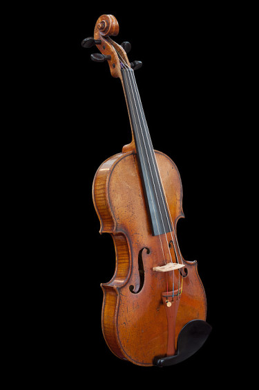 violoncello