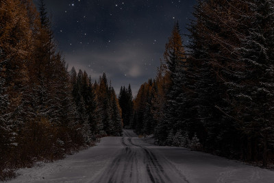 路雪林云杉星夜秋