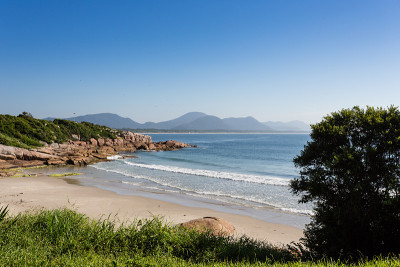 海滩弗洛