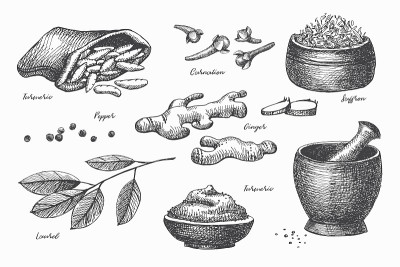 Hand-drawn set of spices for cooking. Spicy spices