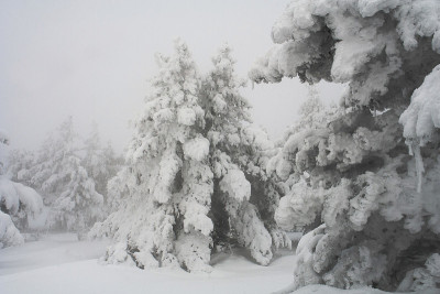 冬季的景观在大雪期间高关键