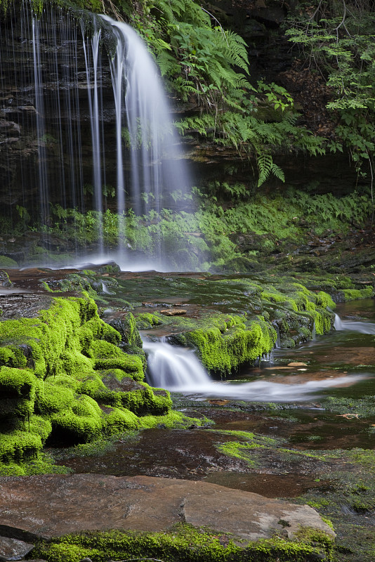 苔藓的绿色峡谷荒野瀑布蕨类岩石