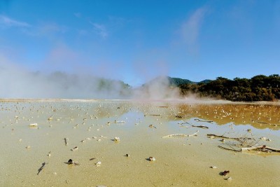 新西兰地热区