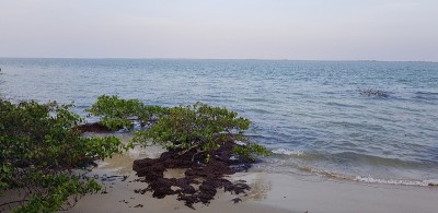大西洋岛屿