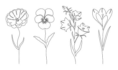 的花