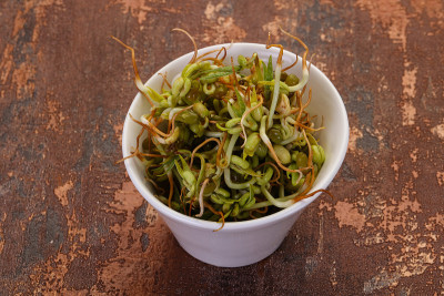 将豆芽
