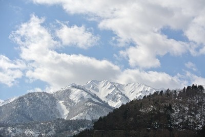 白川古的雪山和森林