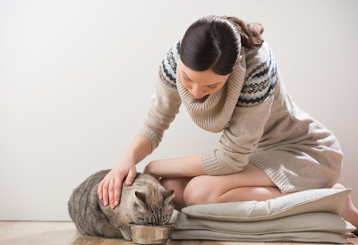 美丽的年轻女人和她的猫