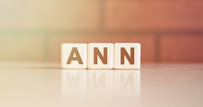 ANN -首字母缩写概念。文字在明亮的木方上