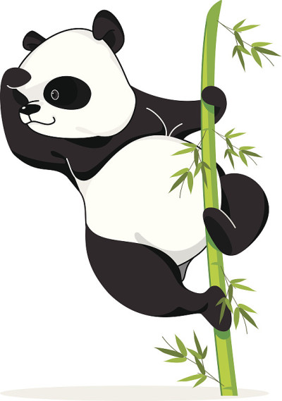 攀爬的熊猫