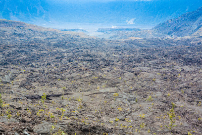 火山口地板