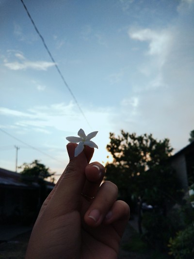花