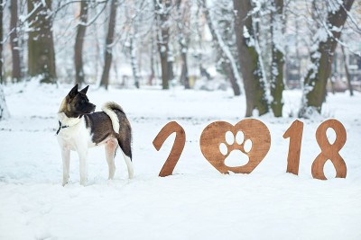 祝你2018年新年快乐