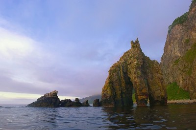 与鞑靼海峡海岸的海蛇。