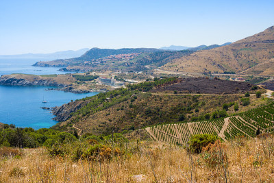 法国维梅尔海岸，地中海，东方比利牛斯山，Cerbere Banyuls海洋保护区的岩石海岸