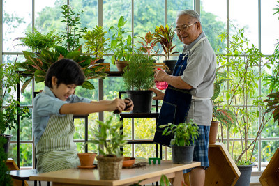 亚洲年轻的小男孩和爷爷在花园里种植绿色植物