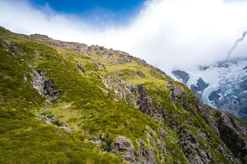 美丽的风景，绿色的自然和岩石山与冰川在库克山国家公园(Muller hut track)