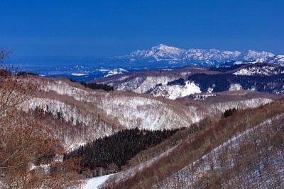 日本长野县马达郎高原的冬季景观。